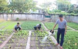 Mâm ngũ quả đặc biệt của lính Trường Sa trong ngày Tết
